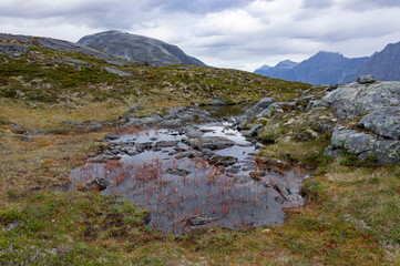 highland swamp in the mountains of Norway near the sourse of the Mardalsfossen waterfall. Grey cloudy sky and rocky slopes around