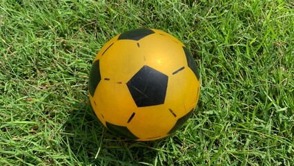soccer ball on green grass