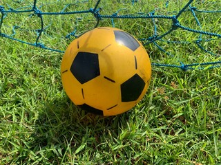 soccer ball on green grass