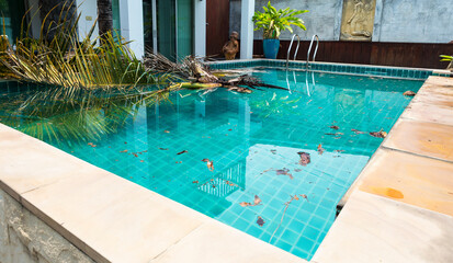 Coconut tree fallen into swimming pool, storm season, tropical storm season in Thailand, pool...