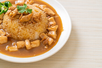 Chicken in brown sauce or gravy sauce with rice