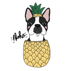 Boston Terrier dog in pineapple cartoon vector illustration - 502865506