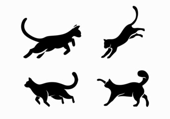black cat logo design template