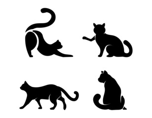 black cat logo design template