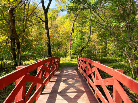wooden red nature river bridge walkway path glen sunshine hiking trail forest