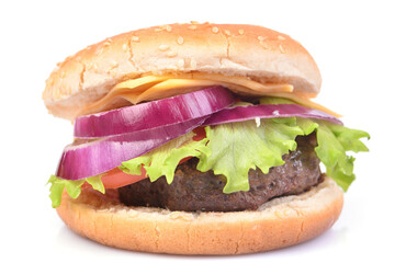 Hamburger on a white background