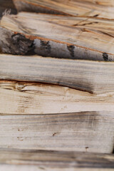 Natural texture. Dry birch firewood close-up on a sunny day. Types of natural fuel. Materials for creativity from wood. 