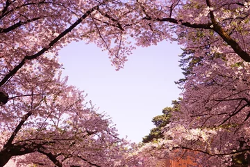Foto op Canvas Heart Shaped Sky surrounded by Pink Sakura or Cherry Blossom  Hirosaki Castle in Aomori, Japan - 日本 青森県 弘前公園 桜のハート  © Eric Akashi