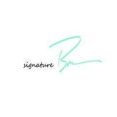 Bm initial handwriting logo vector