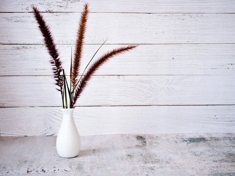 Purple Fountain Grass flowers in vase on table vintage background and desert rose ,copy space for letter white vase old wall for wallpaper or text message writing still life black and white gray color