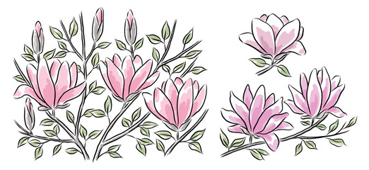 Set of hand-drawn magnolia branches with flowers