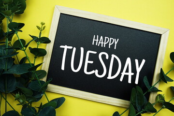 Happy Tuesday typography text written on wooden blackboard with green eucalyptus decoration on yellow background