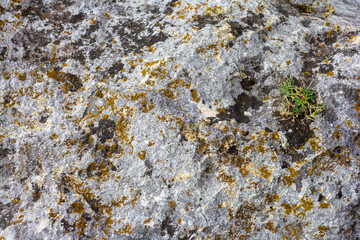 natural stone, an inert material used for construction and decorative finishing, close-up.
