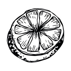 Vector lemon clipart. Hand drawn citrus icon. Fruit illustration. For print, web, design, decor, logo.