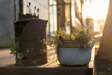 Reused planter ideas. Second-hand kettle and old teapot turn into garden flower pots on a terrace...