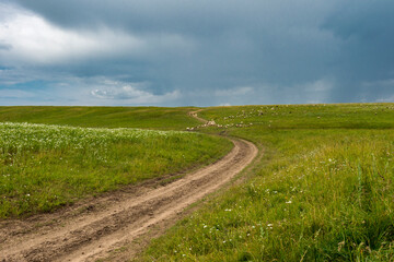 Fototapeta premium road in the field