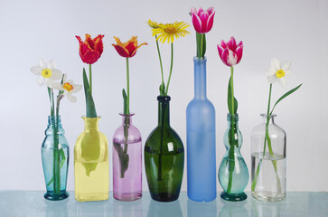 Flowers daffodils and tulips in colorful vases and bottles on a glass table.