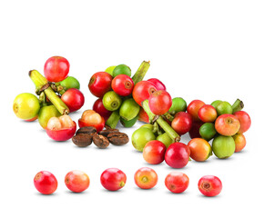 Fototapeta na wymiar Red coffee beans, ripe and unripe berry fruit isolated on white background.