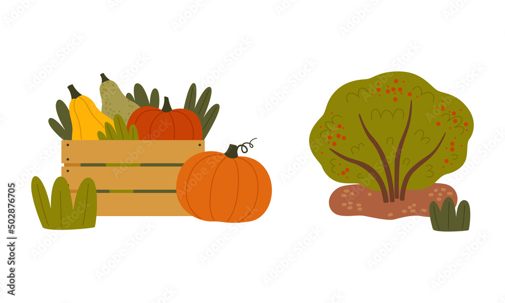 Sticker ripe pumpkin in wooden crate and bush with berry as seasonal harvesting and yield vector set