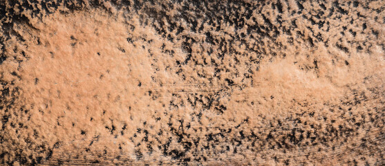 The texture of the surface of a brown and black concrete wall, uneven cement pattern with cracks on the background with space to copy, panoramic view