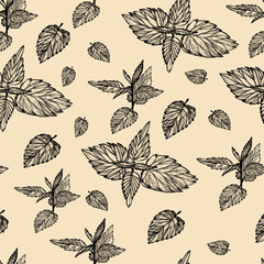 Seamless pattern Urtica dioica a sketch with a pencil. illustration for the design of packaging, packages, wrapping paper