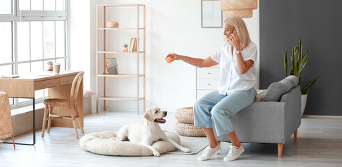 Mature woman talking by phone while playing with cute Labrador dog at home - Powered by Adobe