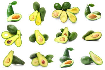 Set of fresh avocado isolated on white