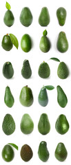 Set of fresh avocado isolated on white
