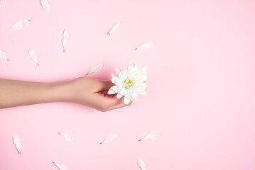 Obraz na płótnie Canvas Creative and fashion art skin care of hands and white flowers in hand of women. Female hand with white flowers on pink color background. Cosmetics for anti wrinkle. Flat lay, top view, copy space