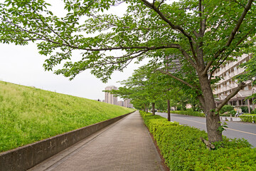 真っすぐな緑道