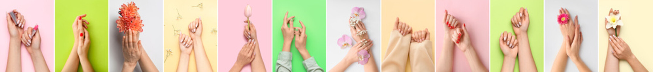 Set of female hands with beautiful manicure and flowers on colorful background