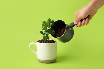 Woman pouring coffee beans into cup with young tree on color background, closeup