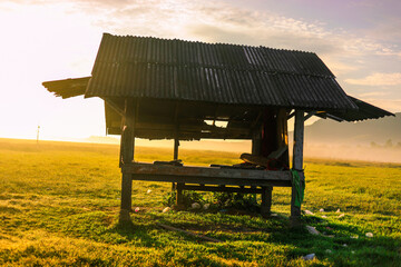 The close background of the green rice fields, the seedlings that are growing, are seen in rural areas as the main occupation of rice farmers who grow rice for sale or living.