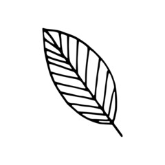 abstract leaf. vector illustration hand drawn in doodle style. scandinavian, minimalism. icon, sticker.