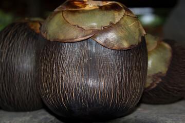 Children of Tan Node for making sugar candy Delicious Thai desserts Only available in Thailand and seasonally yellow flesh.