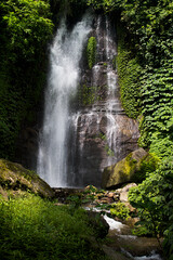 Amazing tropical cascade waterfall in wild green forest with powerful stream of water in sunbeams with water splashes and lush foliage on shore, vertical. Indonesian rainforest on Bali.