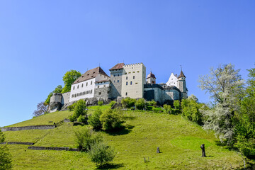 Lenzburg, Schloss, H&ouml;henburg, Schlossh&uuml;gel, Turm, Stadt, Aargau, Aussichtspunkt, Altstadt, Wanderweg, Wald, Felder, Landwirtschaft, Fr&uuml;hling, Schweiz