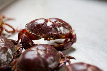 Terminal Pesquero de Villa María del Triunfo, Lima Perú 2018