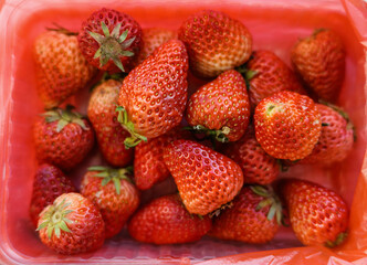 Natural looking fresh red strawberry in package.