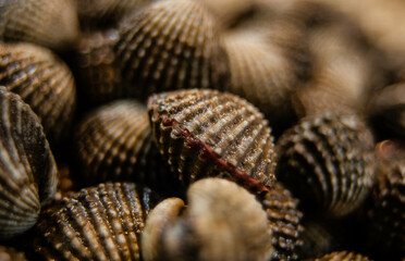 Fresh scallops are sold in the Baan Na Kluea Seafood Market, Pattaya, Thailand.