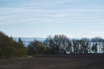 Fototapeta premium trees by Lake Mjøsa in Totenvika at spring, with a field and a gravel road, in the morning light - version 3
