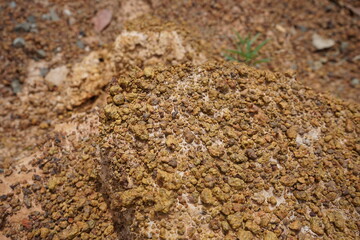 blurry road construction layer SOIL AGGREGATE SUBBASE