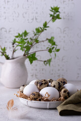 Bowl with chicken and quail raw eggs o