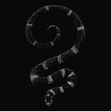 zebra snake hand drawing vector illustration isolated on black background