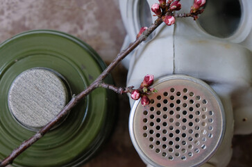 Apricot branch with buds on the gas mask background. No chemical weapons, concept.