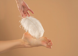 Naklejka premium Young Woman's Hand Touhing Her Feet With White Feather On Beige Background. Beautiful Body Care Concepts