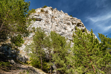 Large rock formation over forest. Cerenova skala, Slovakia