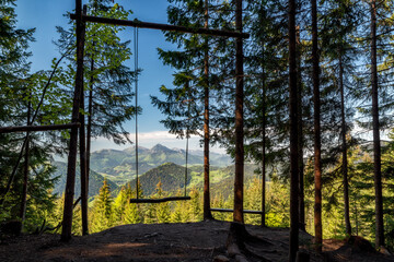Empty forest natural swing with beautiful mountain view