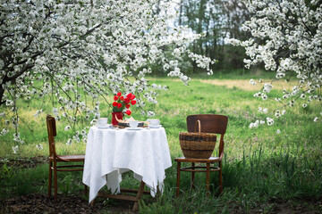 breakfast in the spring garden