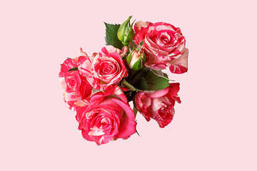 Bouquet of delicate pink roses on a pink background.